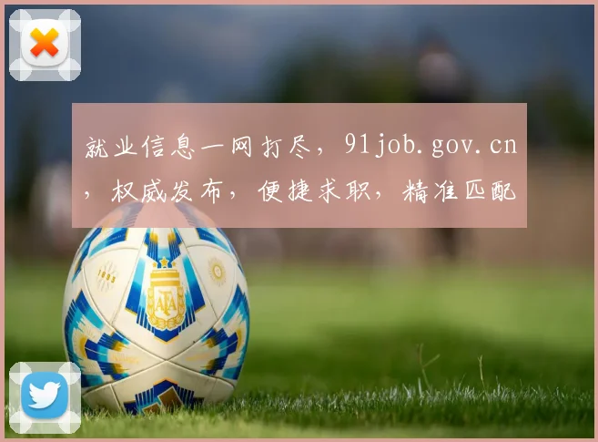 就业信息一网打尽，91job.gov.cn，权威发布，便捷求职，精准匹配，三步实现职业梦想
