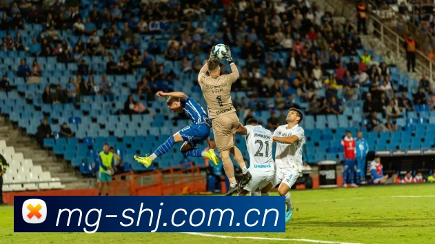 美国世界杯 综合资讯平台与热门玩法介绍平台生态图